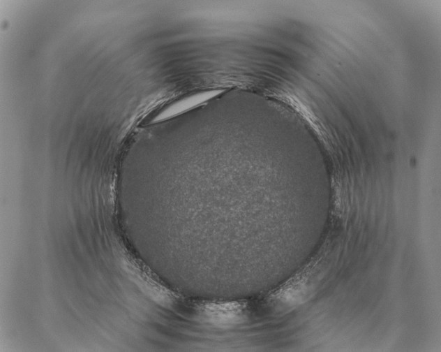 X0000086890357200704231134