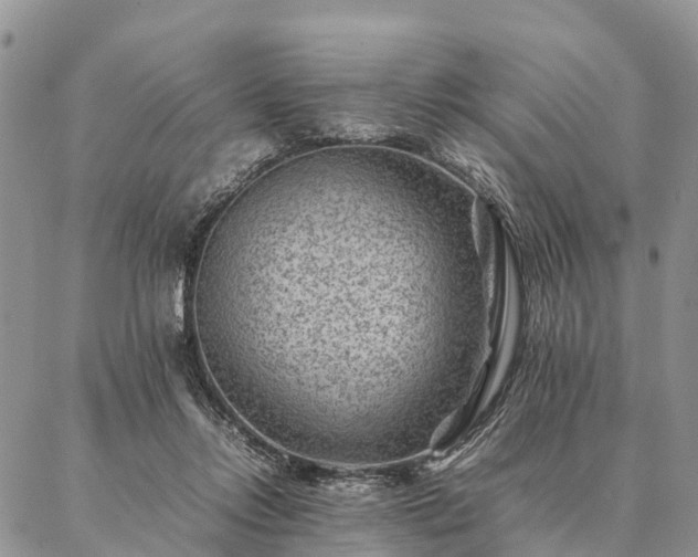 X0000086890358200704231134