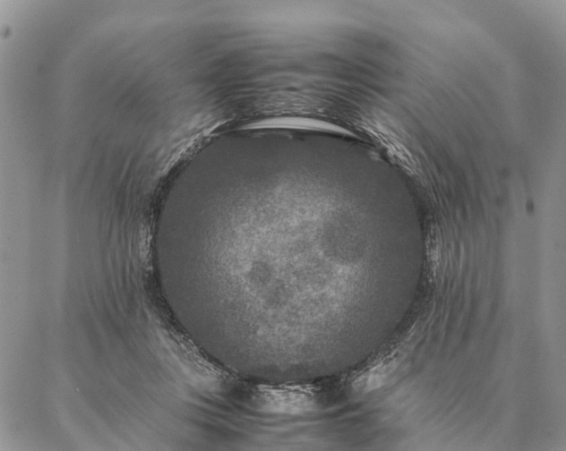 X0000086890359200704231134