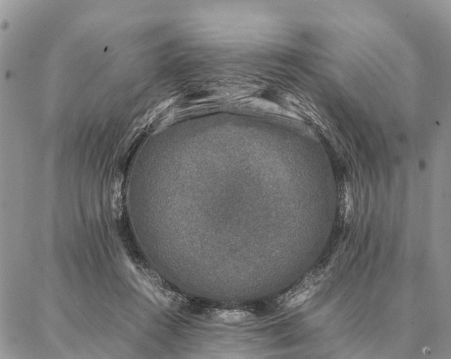 X0000086890360200704231134