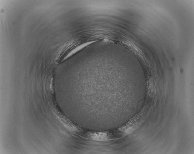 X0000086890361200704231134