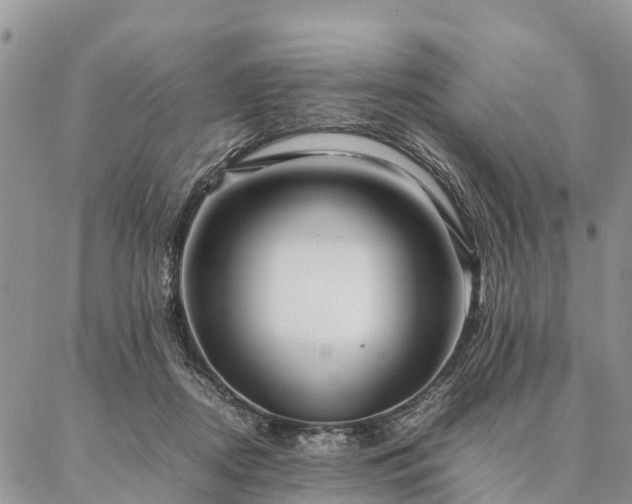 X0000086890362200704231134