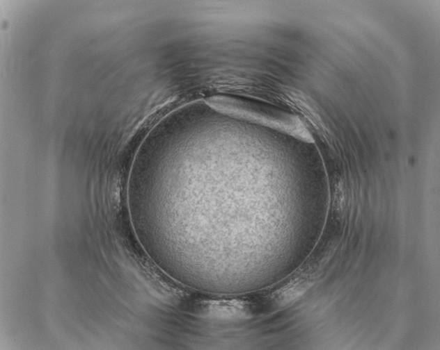 X0000086890363200704231134