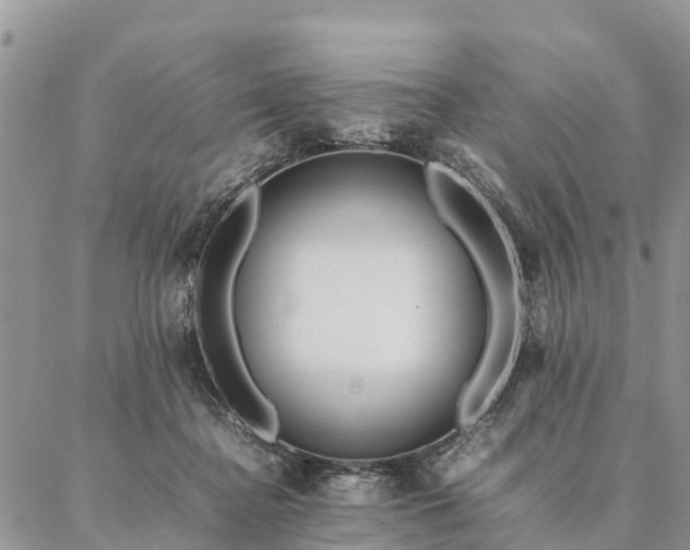 X0000086890364200704231134