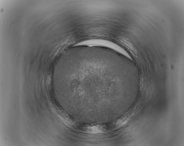 X0000086890365200704231134