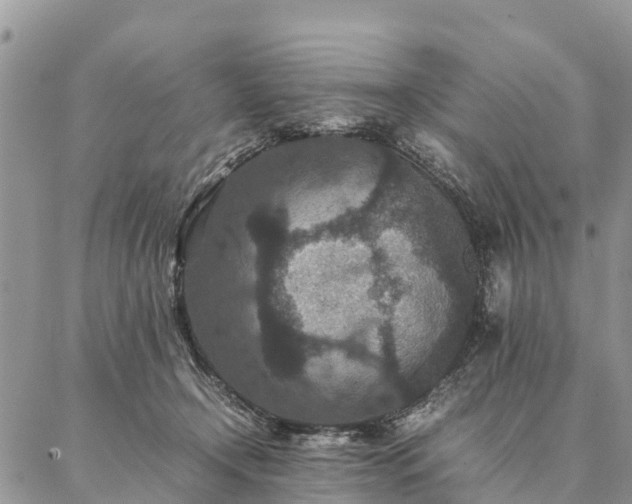 X0000086890366200704231134