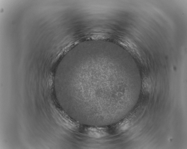 X0000086890367200704231134