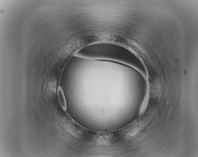 X0000086890368200704231134