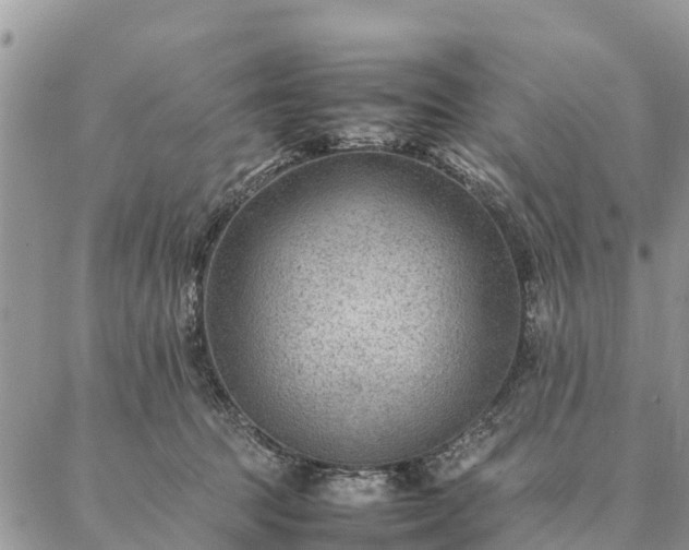 X0000086890369200704231134