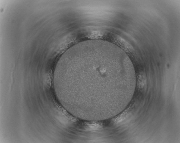 X0000086890370200704231134