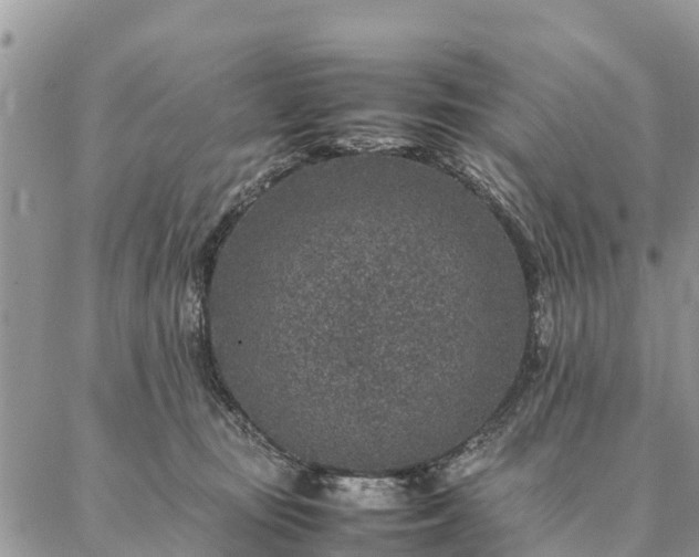 X0000086890371200704231134