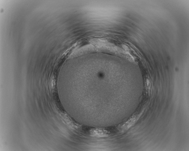 X0000086890372200704231134