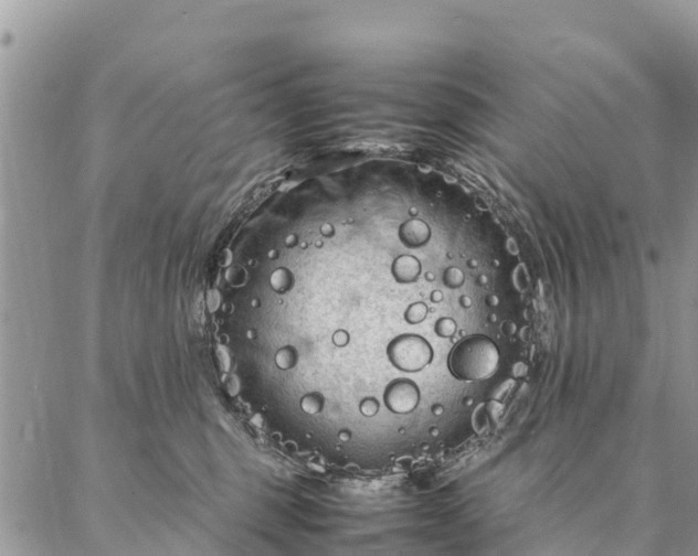 X0000086890375200704231134