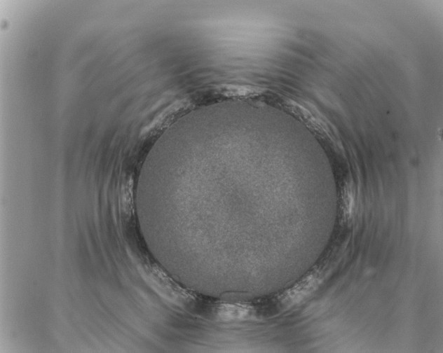 X0000086890376200704231134