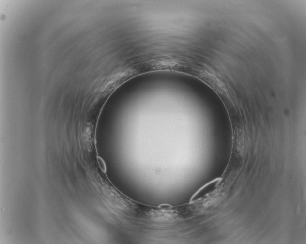 X0000086890378200704231134