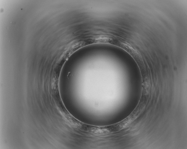 X0000086890379200704231134