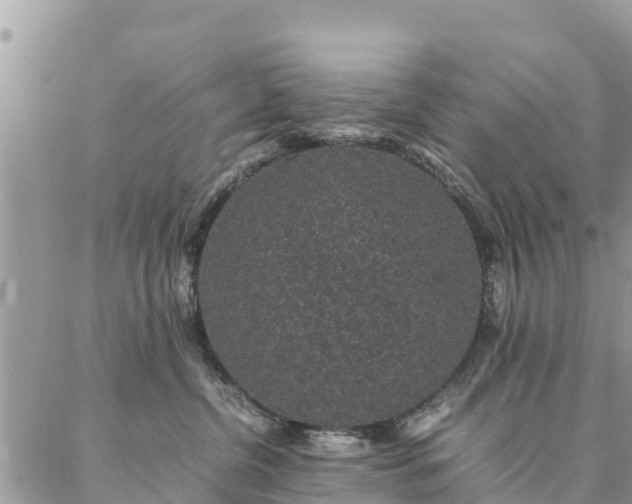 X0000086890380200704231134