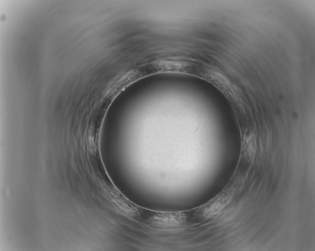 X0000086890381200704231134