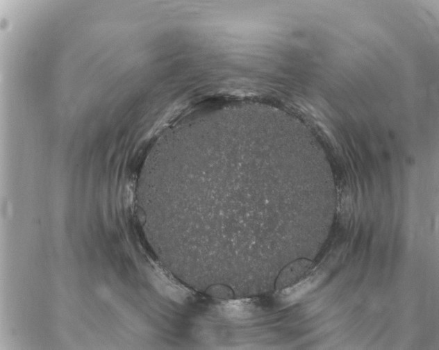 X0000086890382200704231134