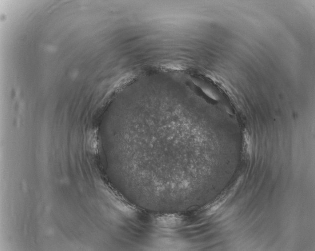 X0000086890383200704231134