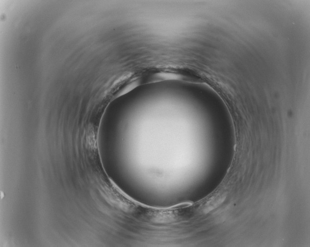 X0000086890384200704231134