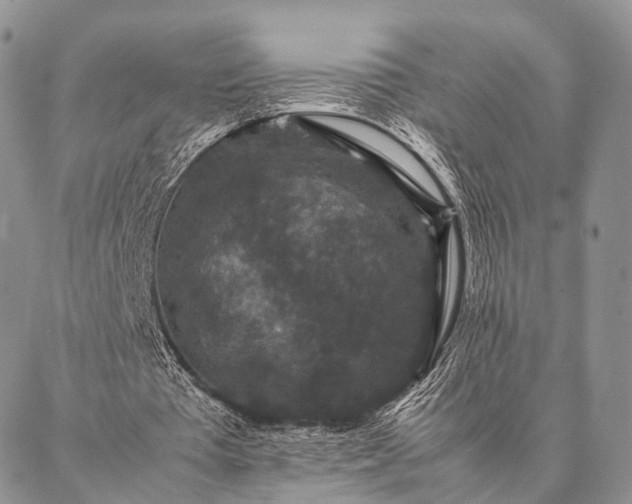 X0000086890385200704231133