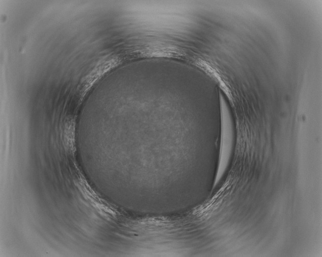 X0000086890386200704231133