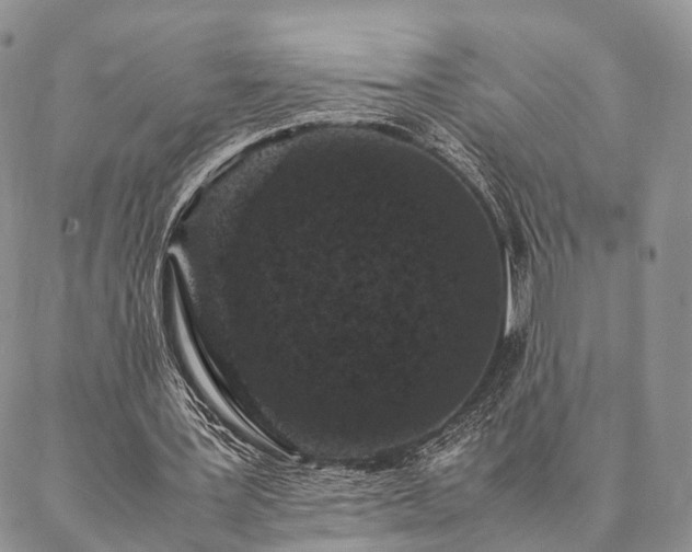 X0000086890387200704231133