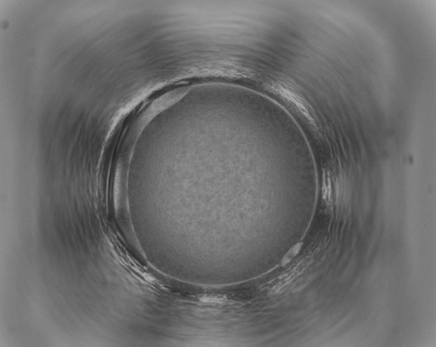 X0000086890388200704231133