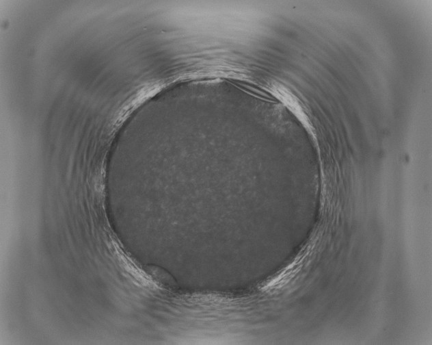 X0000086890389200704231133