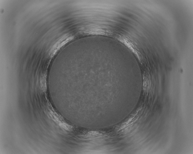 X0000086890390200704231133