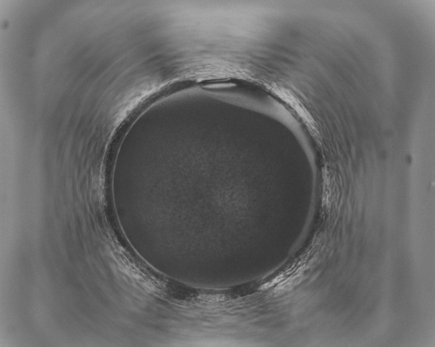 X0000086890391200704231133