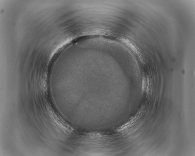 X0000086890392200704231133