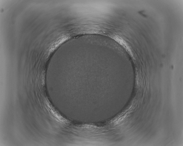 X0000086890393200704231133