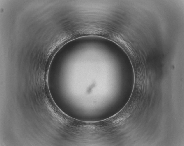 X0000086890394200704231133