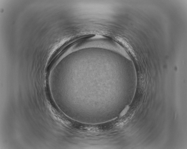 X0000086890395200704231133