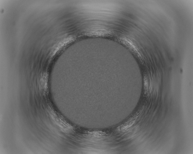 X0000086890396200704231133