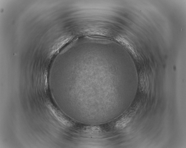 X0000086890398200704231133