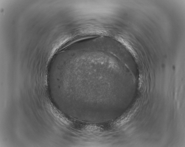 X0000086890399200704231133