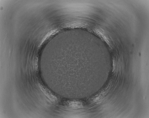 X0000086890400200704231133