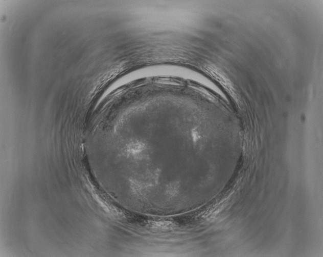 X0000086890401200704231133