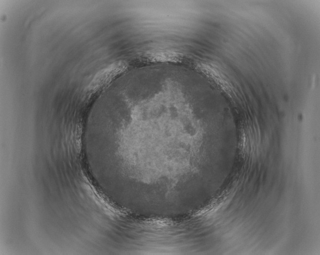 X0000086890402200704231133