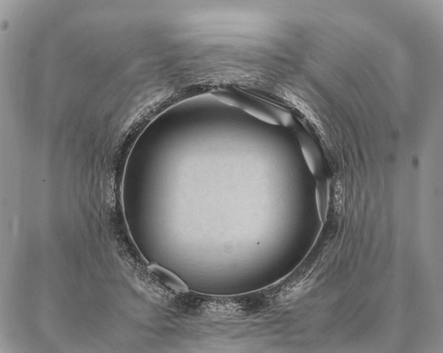 X0000086890403200704231133