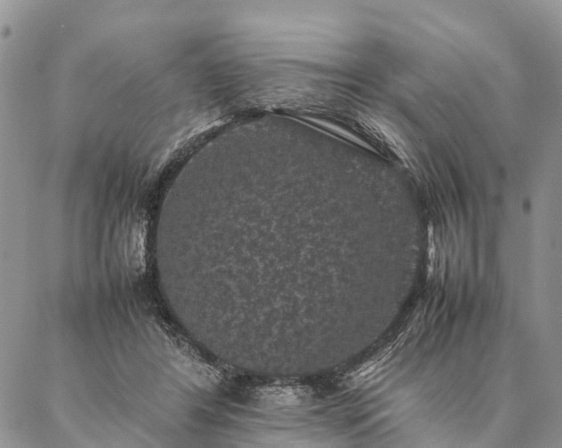 X0000086890404200704231133