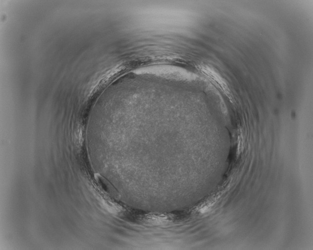 X0000086890405200704231133