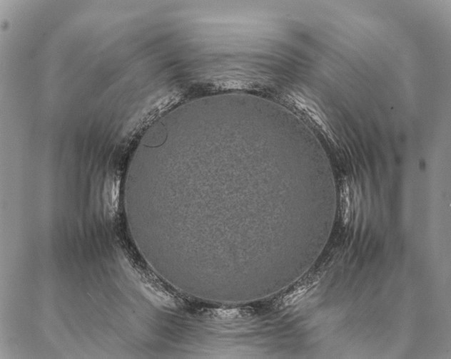 X0000086890406200704231133