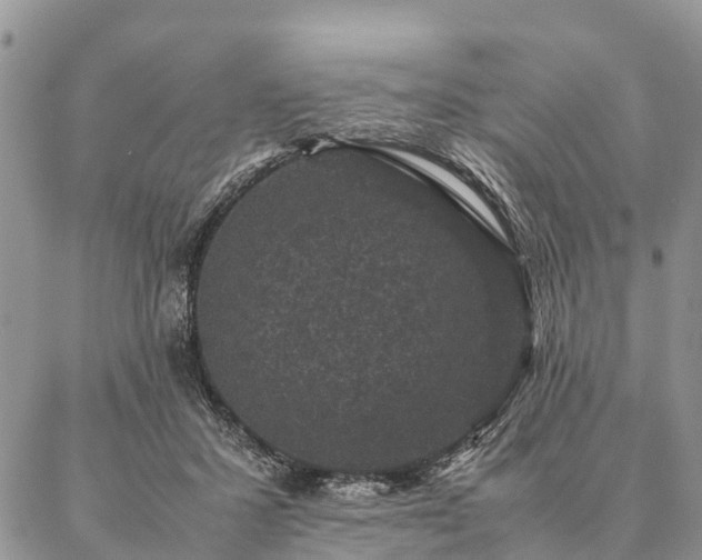 X0000086890407200704231133