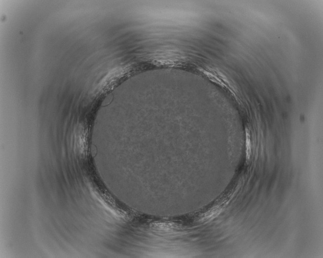 X0000086890408200704231133