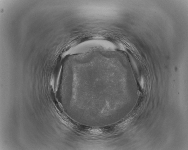 X0000086890409200704231133