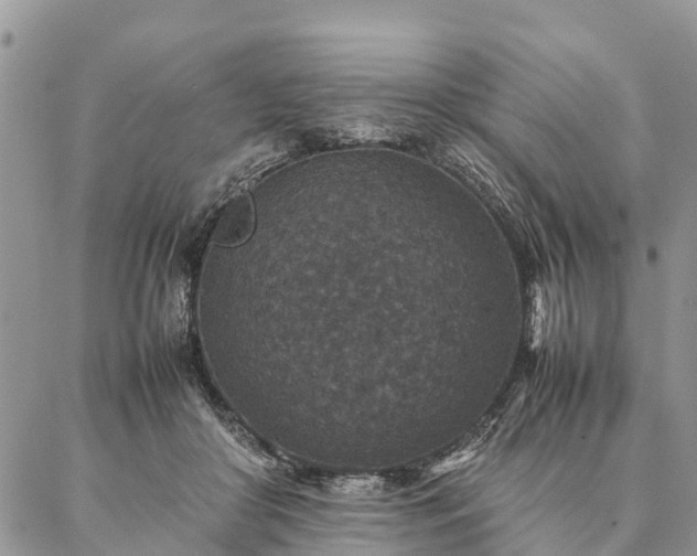 X0000086890410200704231133